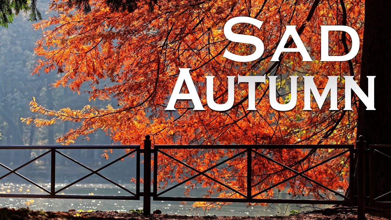 image 0 Sad Autumn Jazz 🍂 Autumn Italy Music - Emotional Piano Instrumental Music